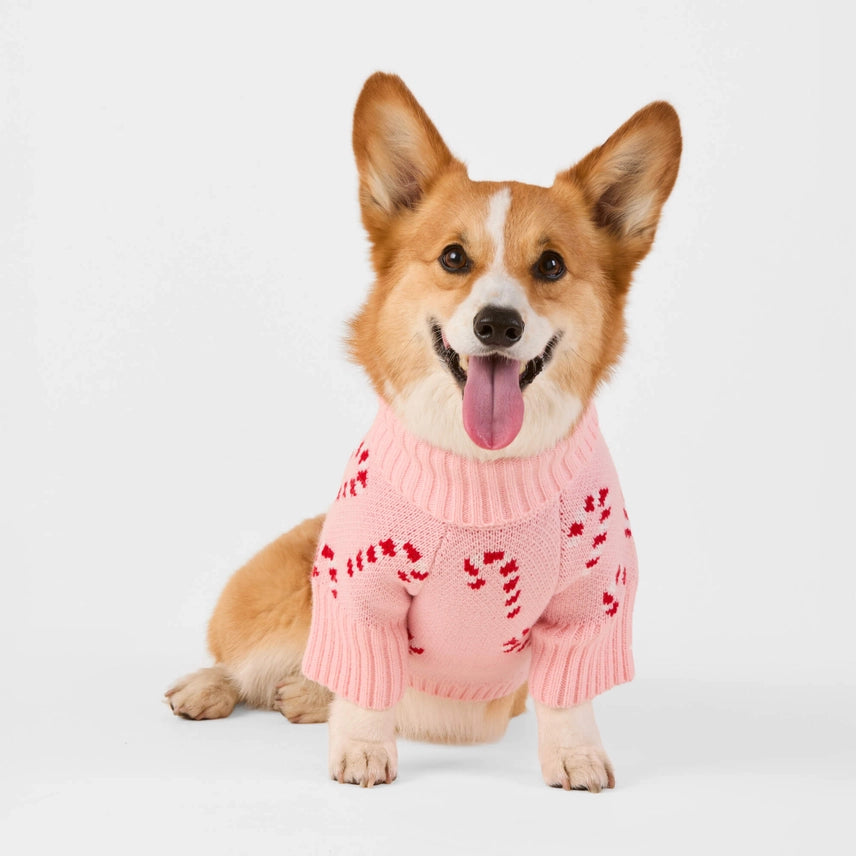 The Foggy Dog Pink Candy Cane Sweater