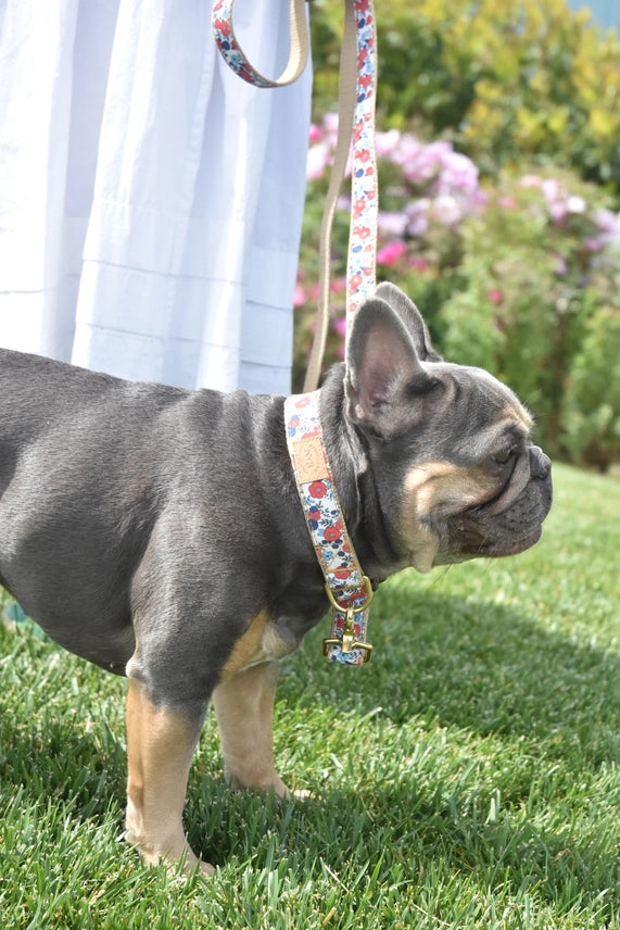 Finnegan's Standard Goods Poppies Collar