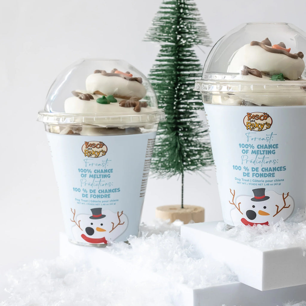 BR Snowman Treat Cup