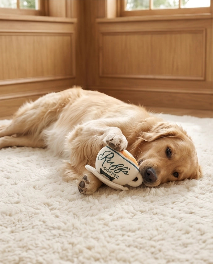 Ruff's Coffee Cup Plush Squeaker Toy