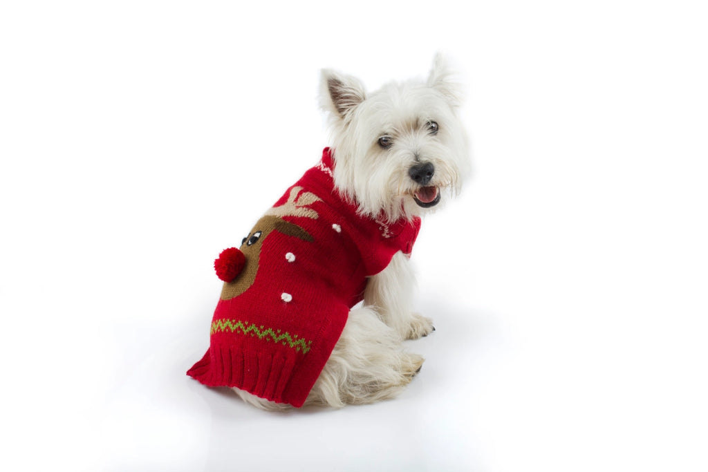 Red Rudolph Alpaca Dog Sweater
