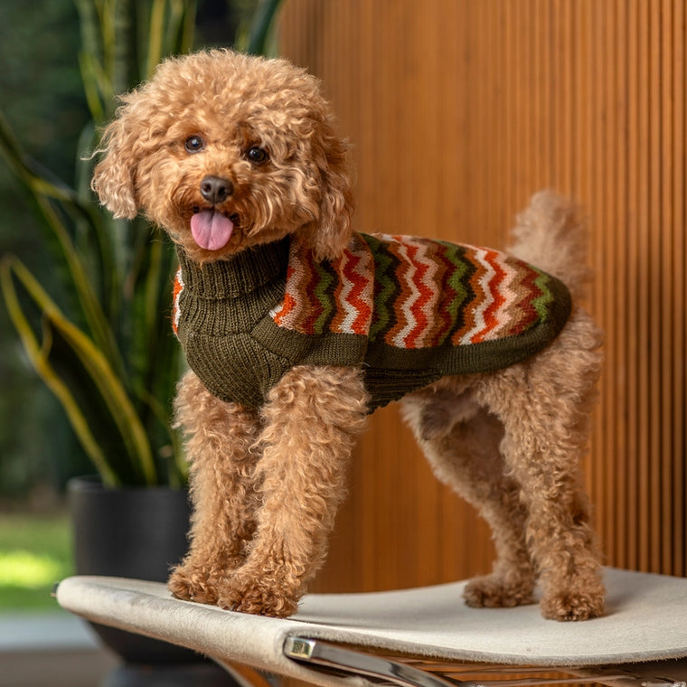 Designer Dog Clothes, Dog Dresses, Dog Shirts - Tails in the City Designer Dog Clothes, Dog Dresses, Dog Shirts - Tails in the City