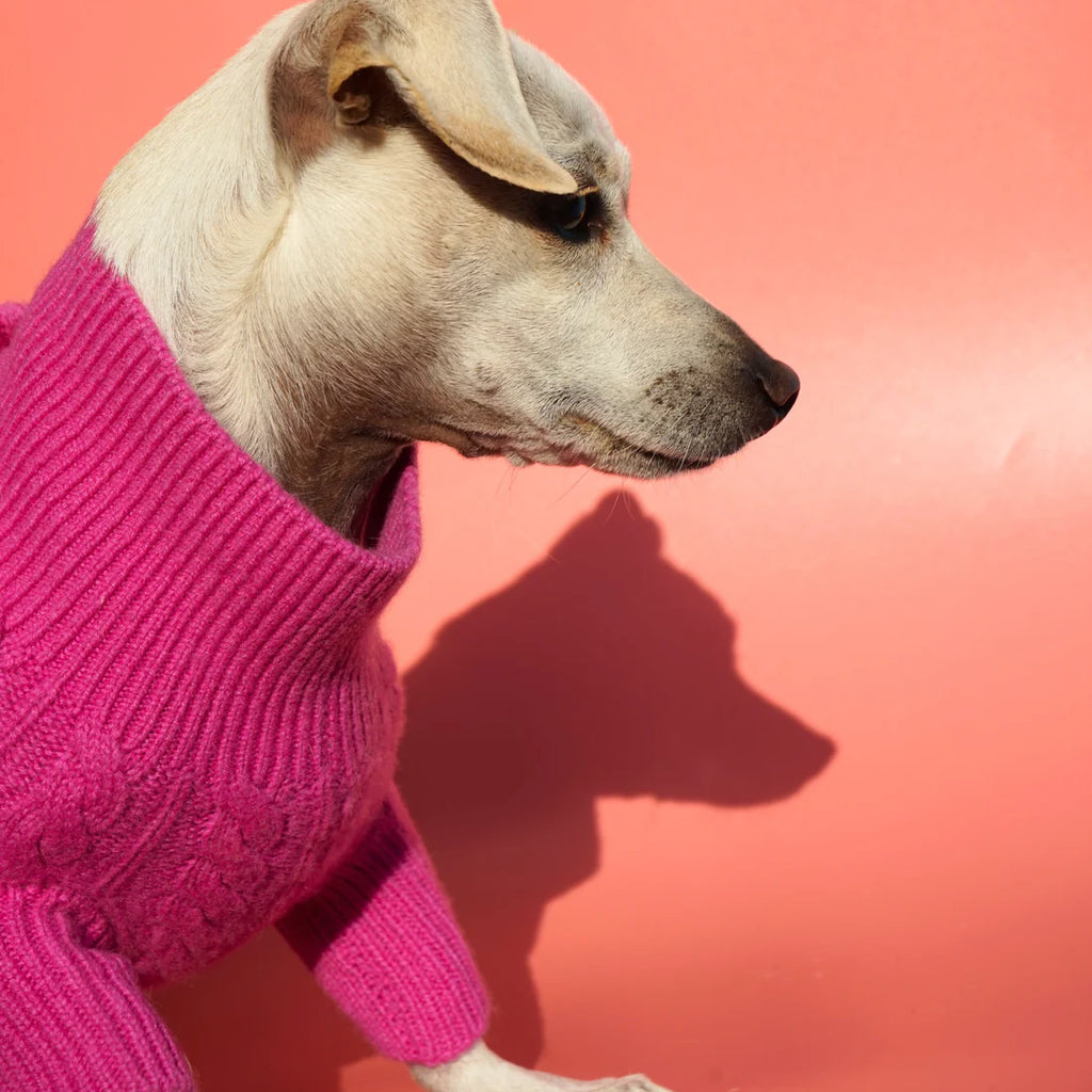 Rufus Cashmere Cable Turtleneck Sweater - Candy