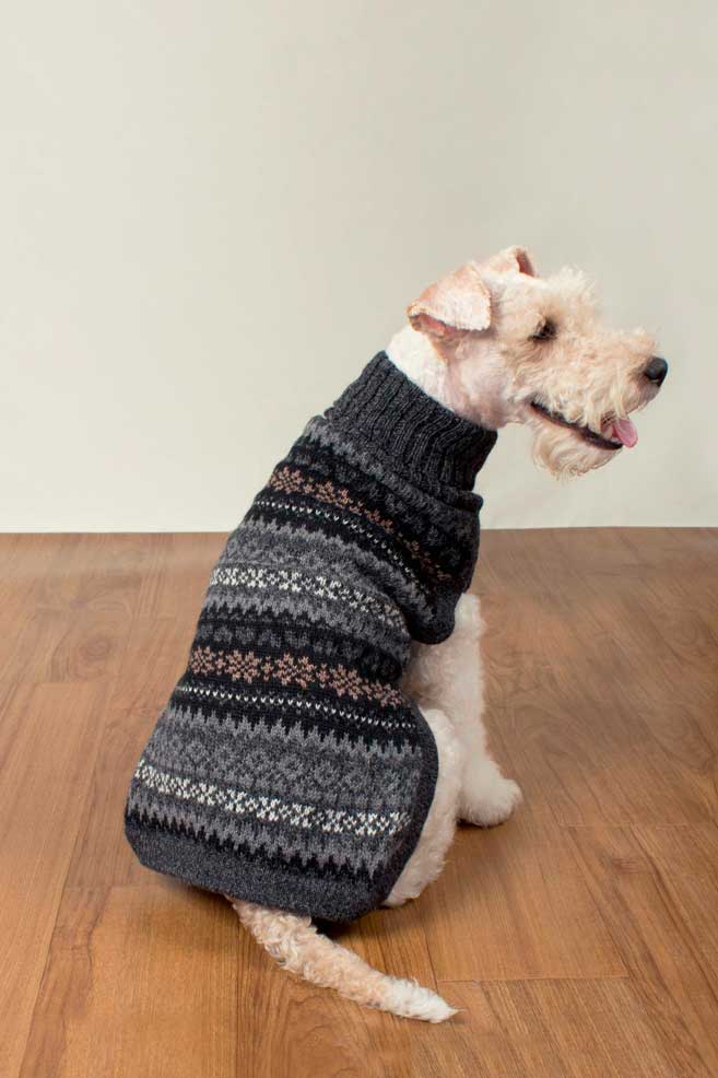Dark Fall Medley Alpaca Dog Sweater