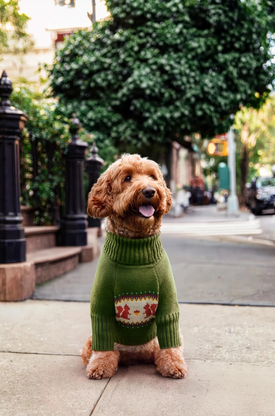 The Foggy Dog Squirrel Dog Sweater