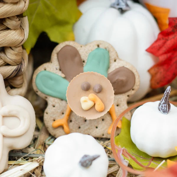 Kenny and Sammy Turkey Cookie 2pk