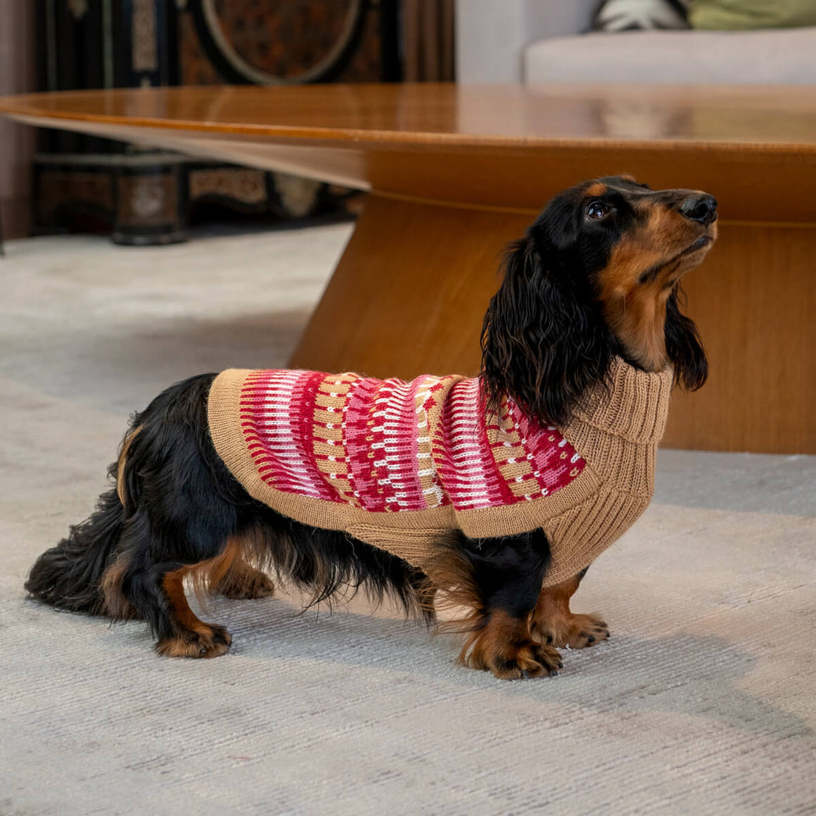 Ice Magic Cherry Alpaca Dog Sweater