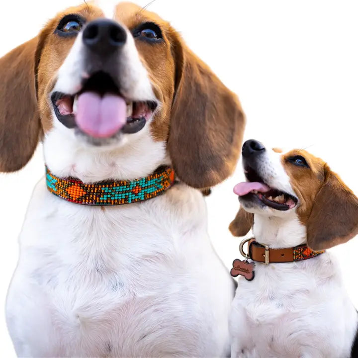 Sardina Sambboho Collar