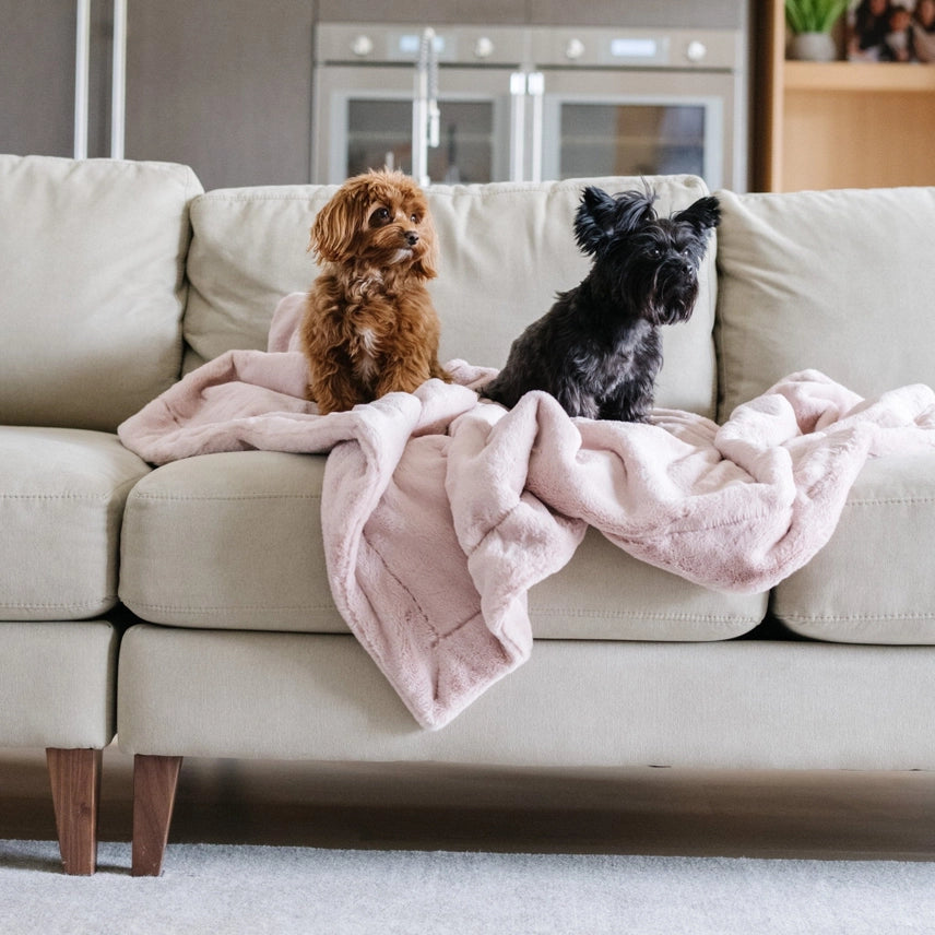 Saranoni Pet Blankets Powder Pink