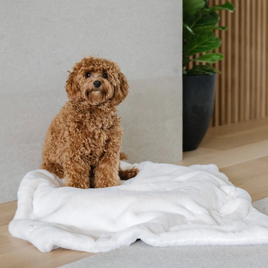 Saranoni Pet Blankets Cream