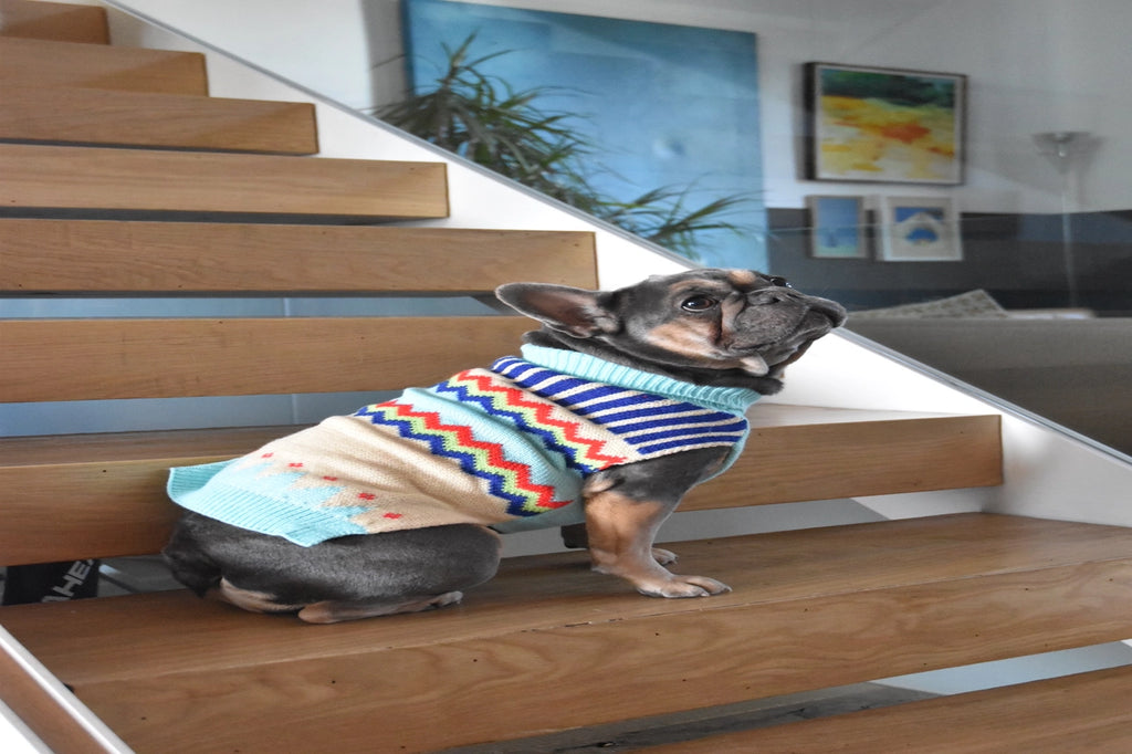 Snowbound Club Sweater