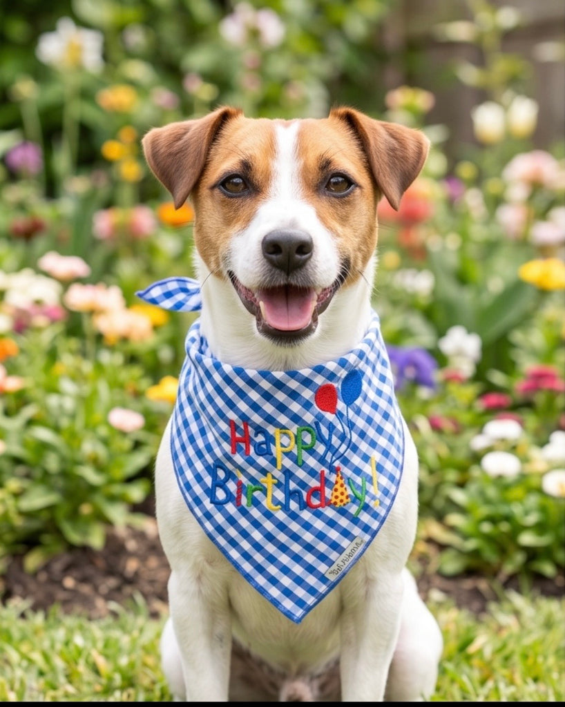 Worthy Dog Happy Birthday Blue Bandana