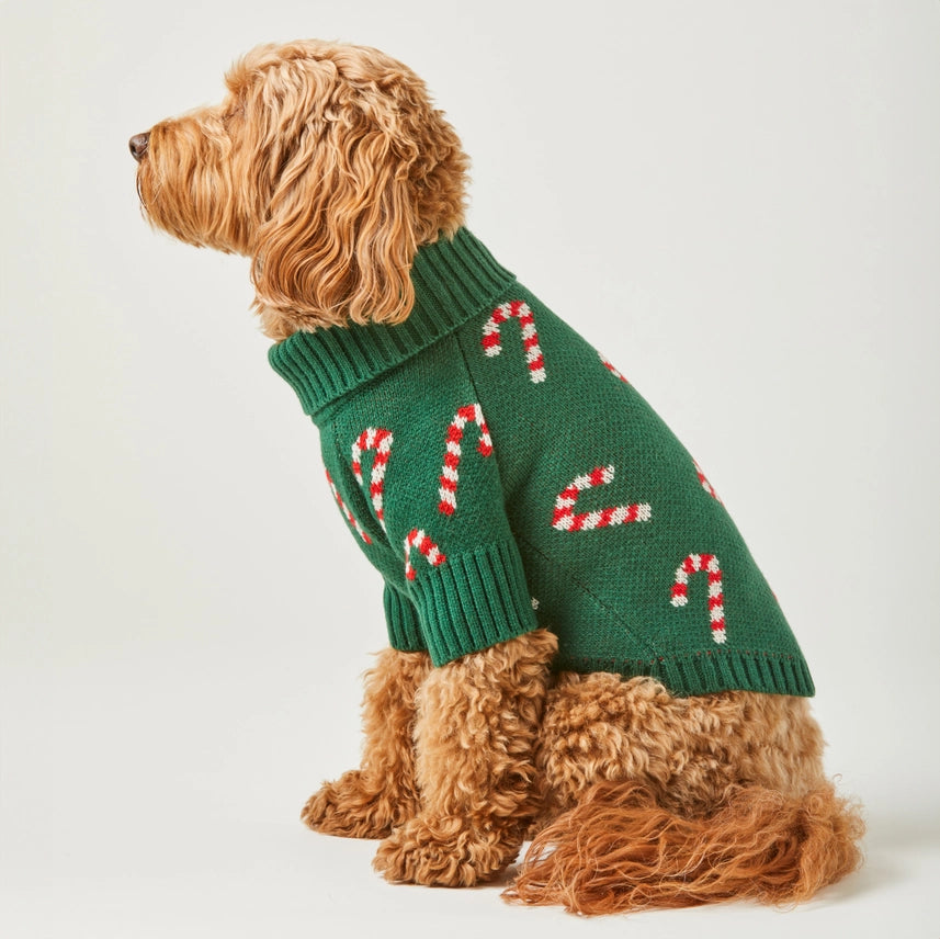 The Foggy Dog Candy Canes Holiday Sweater