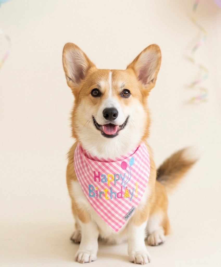 Worthy Dog Happy Birthday Pink Bandana