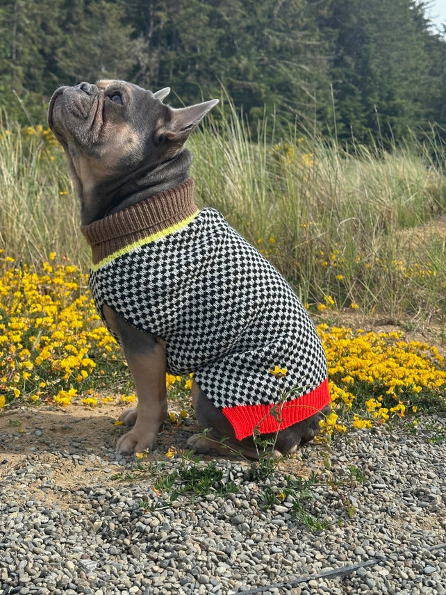 Cafe Stroll Sweater