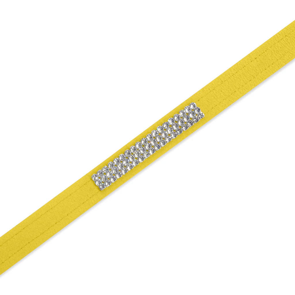 Susan Lanci Sunshine Lead