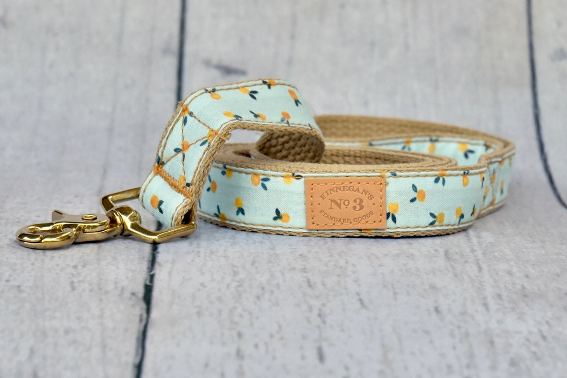 Finnegan's Standard Goods Clemintine Lead
