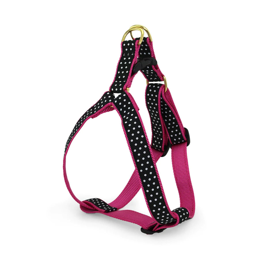 Up Country Black/White Harness