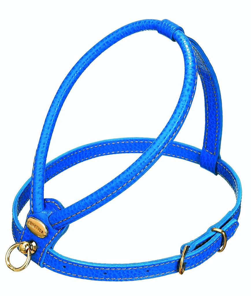 Blue Calfskin Harness