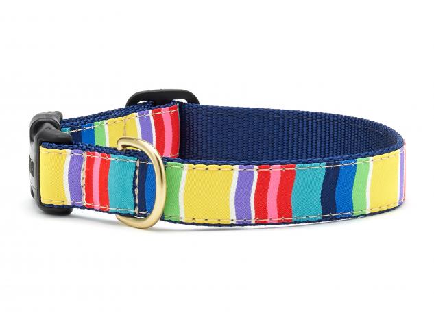 Colorful Stripe Collar & Lead