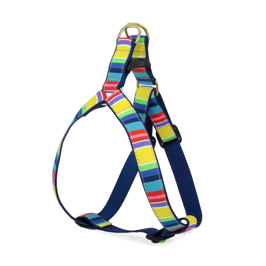 Up Country Colorful Stripe Harness