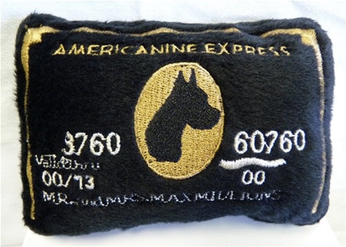 Americanine Express Credit Card