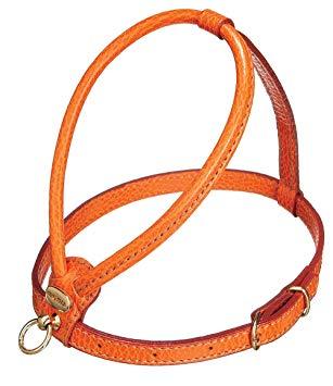 Orange Calfskin Harness