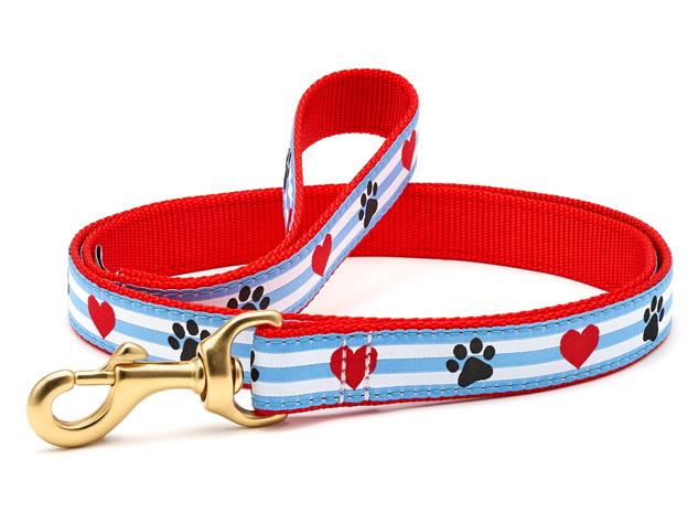 Up Country Pawprint Stripe Lead