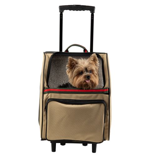 Louis Vuitton, Dog, Pet Carrier And Pet Collar Combo