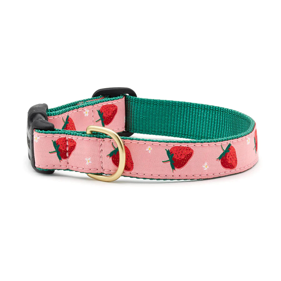 Strawberry Collar