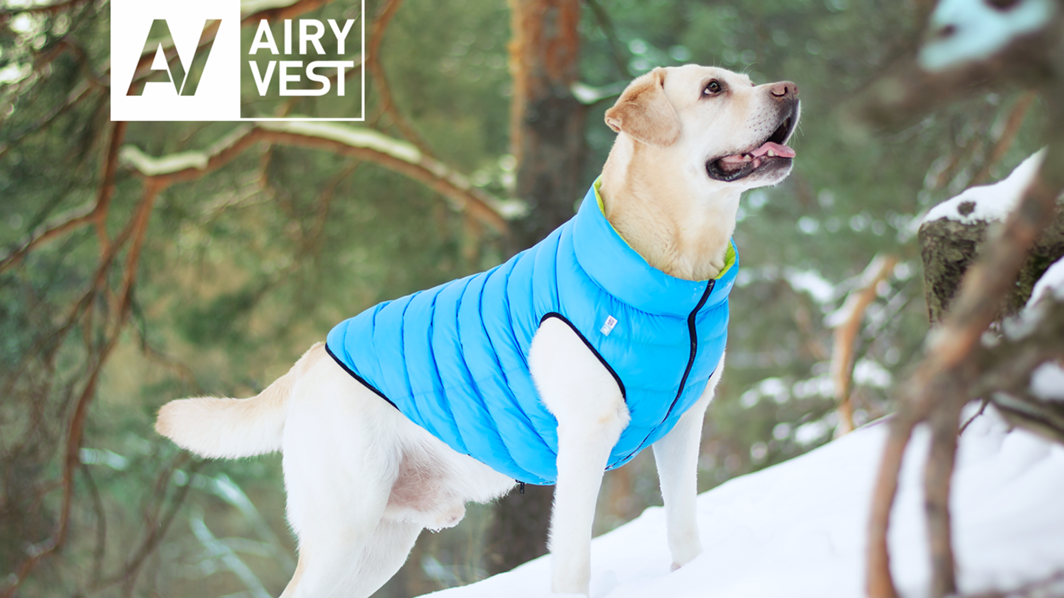 Airy Vest/Coat Blue - Main Image