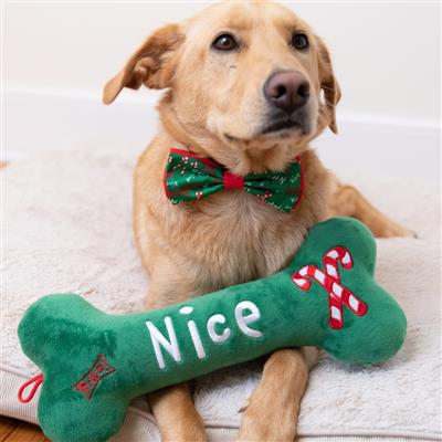 Naughty or Nice Bone Dog  Toy