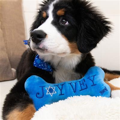 Joy Vey Bone Dog Toy