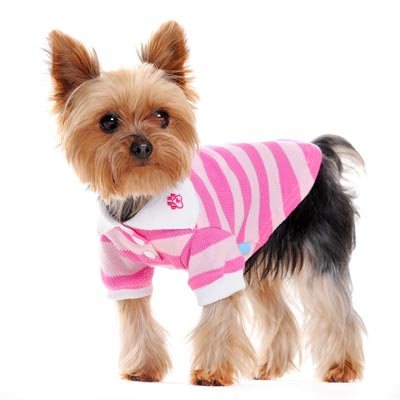 Pink & Lt. Pink Stripe Polo Shirt Dogo