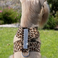 Giltmore Tinkie Harness - Leopard