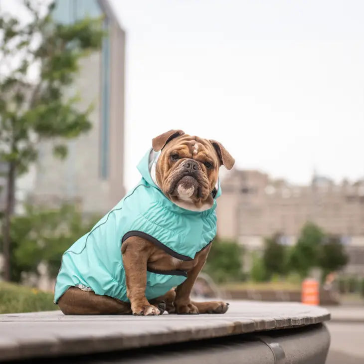 GF Pet Elasto-FIT Reversible Neon Aqua and Iridescent Raincoat